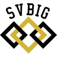 SVBIG logo